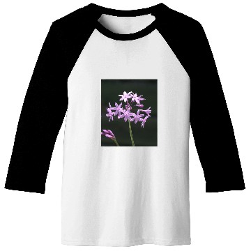 Discover Society Garlic Close Up Photograph Baseball Tees