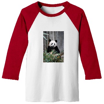 Discover Panda Pet Eating Bamboo Leaves Baseball Tees