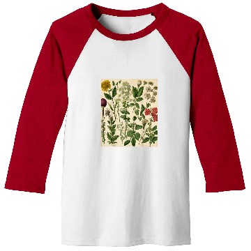 Discover Botanical Prints Herb Garden Baseball Tees