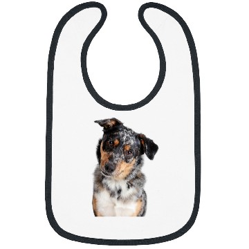 Discover Australian Shepherd 3 Bibs