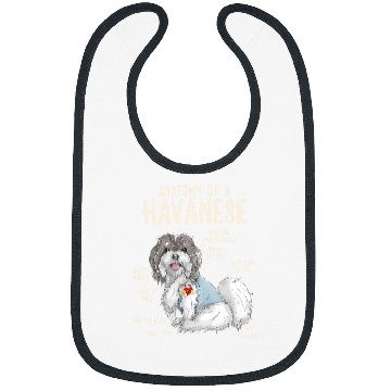 Discover Dog Havanese Anatomy of A Havanese Dog Owner Puppy Funny Cute 3 Bibs