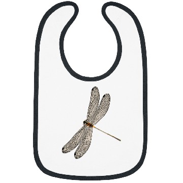 Discover Cute dragonfly wings antique dragonfly illustration 2 Bibs