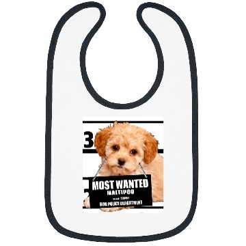 Discover Poodles mosts Wanted Maltipoo Maltese Miniature Poodle dog Poodle dog Bibs