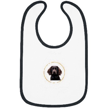 Discover Boykin Spaniel Pet 44 Bibs