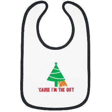 Discover Labrador Pet Christmas Sleep Bibs