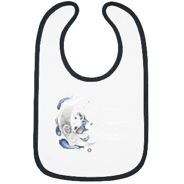 Discover Moon Phase Full Moon Lunar Eclipse Astronomer Astronomy Bibs