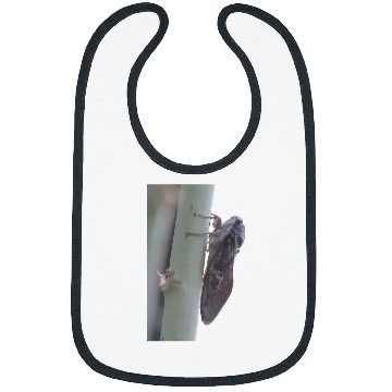 Discover Cicada Vector Cut Out Bibs