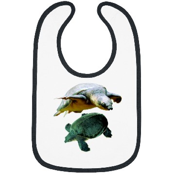Discover Turtle Pet Australian Fly River Turtle Pig Nosed Turtle Lovers Bibs