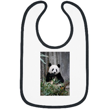Discover Panda Pet Eating Bamboo Leaves Bibs