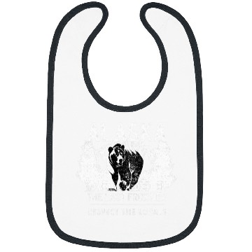 Discover Bear Pet denali mountain alaska last frontier grizzly bear Bibs