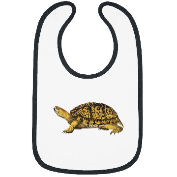 Discover Turtle Pet Eastern Box Turtle Bibs