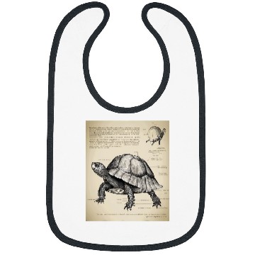 Discover Turtle Pet Box Turtle Structural Blueprint Bibs