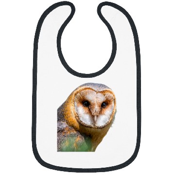 Discover Owl Pet Barn Owl Bird Ornithology Bibs