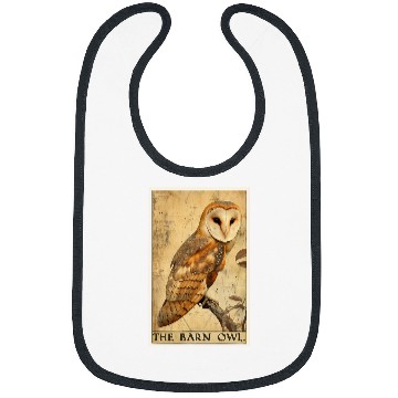 Discover Owl Pet Barn Owls Barn Owl Tarot Card Bibs
