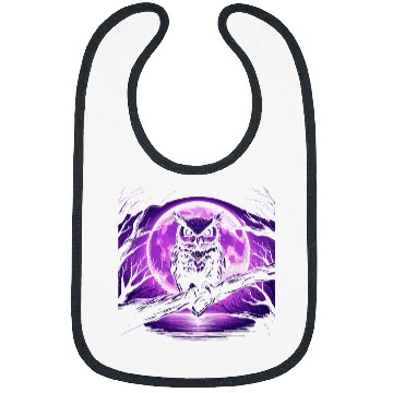 Discover Owl Pet Enchanting Owl and Full Moon Graphic Design Mystical Night Bibs