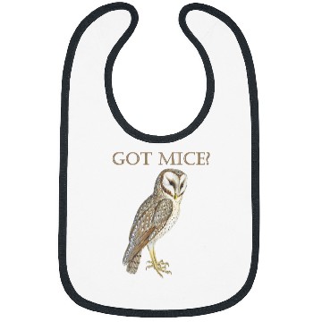 Discover Owl Pet Got Mice Eastern Barn Owl Looking For Dinner Feathered Bird Bibs