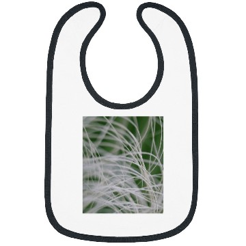 Discover Abstract Macro Photograph Of Mediterranean Palm Bibs