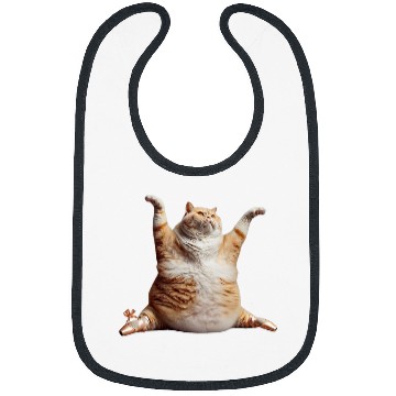 Discover Chubby Cat Ballet Dance Whimsical Feline Performance 2 Bibs