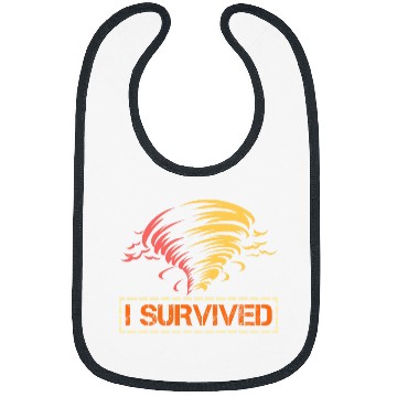 Discover Meteorology Hurican Storm Chasing Meteorologist Bibs