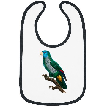 Discover Parrot Tropical bird from the rainforest 25 Bibs