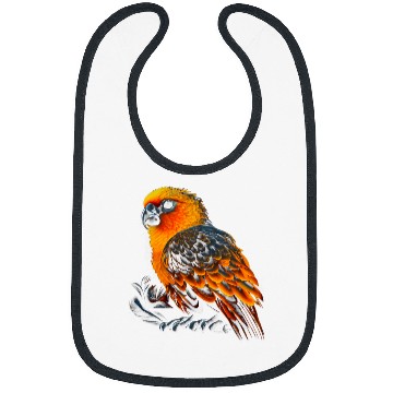 Discover Sun Conure Bird Native American Northwest Tribal Graphic Bibs