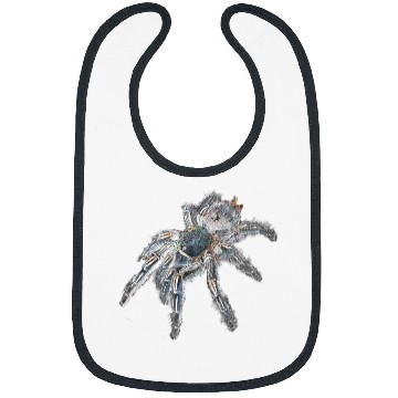 Discover Zebra Tarantula Spider Bibs