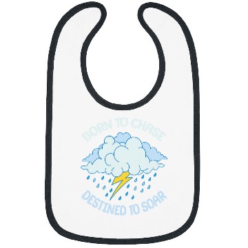 Discover Tornado Chaser Meteorologist Storm Chasing Storm Chaser Bibs