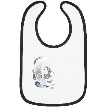 Discover Moon Phase Full Moon Lunar Eclipse Astronomer Astronomy Bibs
