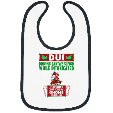 Discover North Pole Correctional Gnome Driving Santas sleigh while Bibs