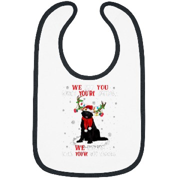 Discover We Know When Youve Got Snacks Newfoundland Bibs