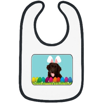 Discover Newfoundland w Bunny Ears Bibs