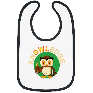 Discover Knowledge Cute Owl Pun School 1st Grade Kids Gift Bibs