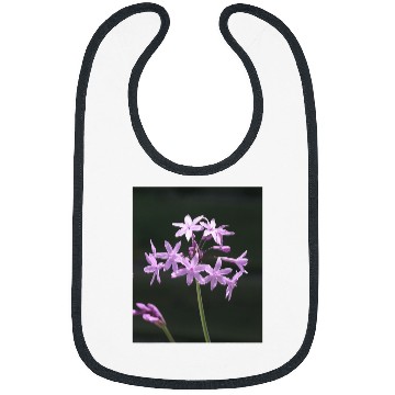Discover Society Garlic Close Up Photograph Bibs