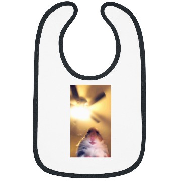Discover Hamster Meme Camera Hamster Funny Webcam Bibs