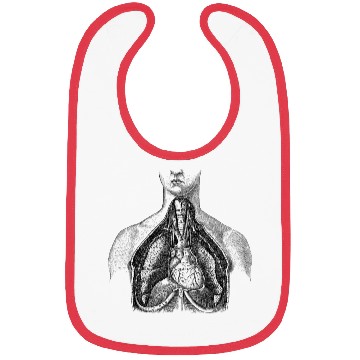 Discover Torso medical illustration Bibs