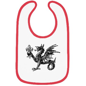 Discover Dragon Bibs