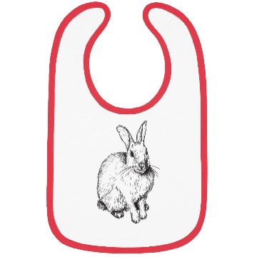 Discover rabbit Bibs