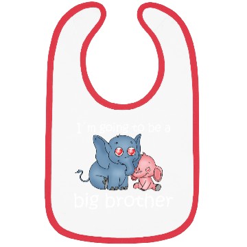 Discover Big Brother Bibs