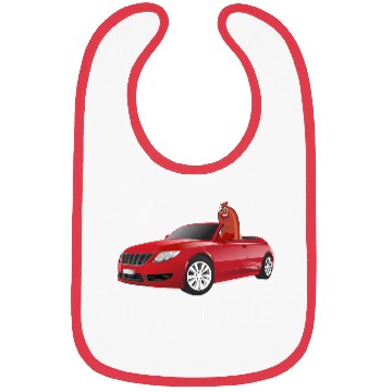 Discover Car Sosage Bibs