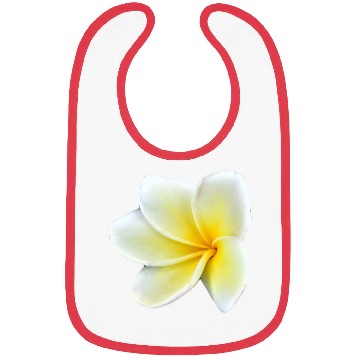 Discover Flower Tropic Summer Gift Bibs
