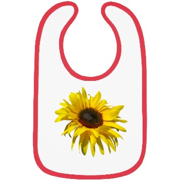 Discover blooming sunflower sunflowers blooms flowers petal Bibs