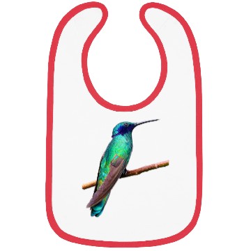 Discover Hummingbird Bibs