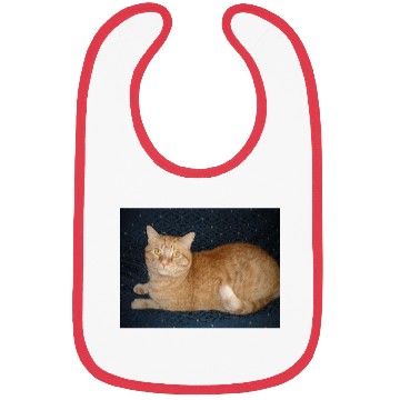 Discover Relaxed Orange Tabby Cat Illustration Bibs
