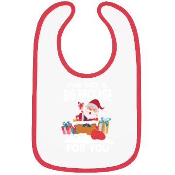 Discover I've Got A Big Package For You Funny Christmas Bibs