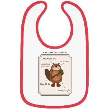 Discover Anatomy of a Beaver Bibs