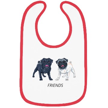 Discover Friends Bibs