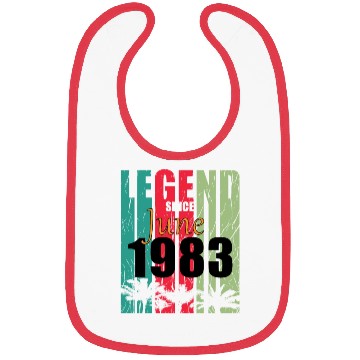 Discover 1983 vintage born in June gift Bibs