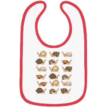 Discover Snail Collection Researcher Biology Snails Bibs