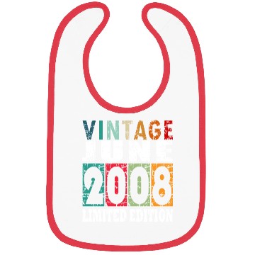Discover 2008 vintage born in June gift Bibs
