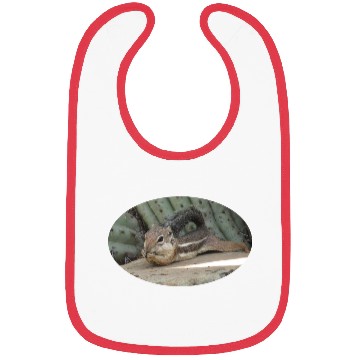 Discover Harris's antelope squirrel Bibs